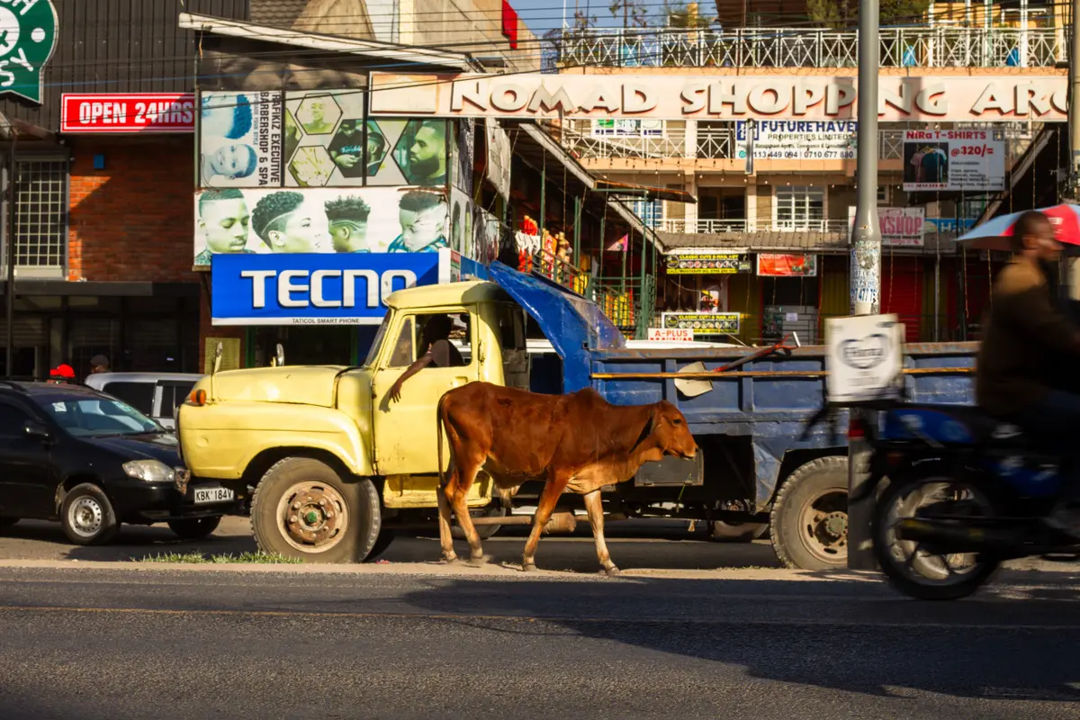 Field research: land transactions at the urban periphery